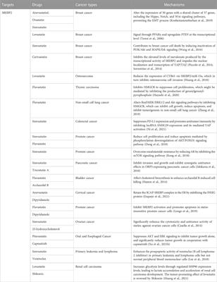 Key events in cancer: Dysregulation of SREBPs